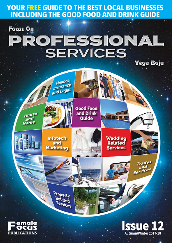 Professionals VB 12 Cover WEB